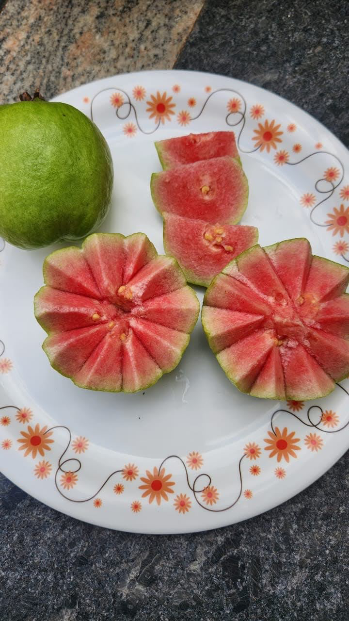 Red Diamond Guava